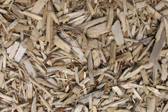 biomass boilers Seed Lee